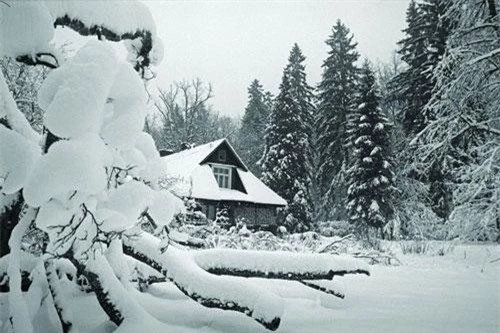 Ngôi nhà giữa khu rừng Białowieża ở Ba Lan, nơi nữ khoa học gia Simona Kossak sinh sống trong 30 năm để nghiên cứu về đời sống các loài động vật. Ảnh: Jan Walencik.