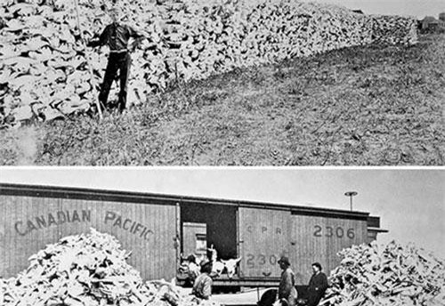 Top ảnh lịch sử kinh điển bóp nghẹt trái tim bạn