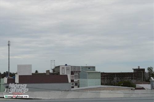 Kiên Giang: Mỗi tháng thu hơn 1 tấn yến sào