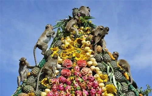 Quốc gia có lễ hội buffet dành cho “Khỉ” nổi tiếng thế giới là Thái Lan
