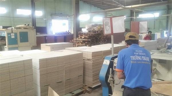 Kiểm toán nghi ngờ khả năng hoạt động liên tục của Gỗ Trường Thành