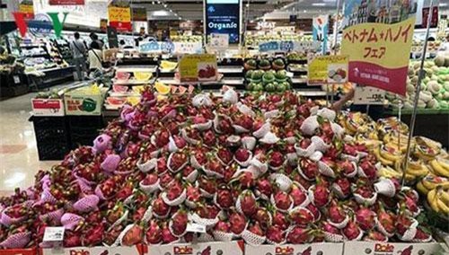 Gỡ khó cho doanh nghiệp đưa hàng Việt vào hệ thống phân phối ngoại