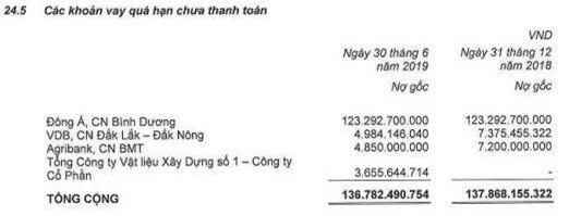 Nguồn: Báo cáo tài chính hợp nhất bán niên 2019 đã kiểm toán