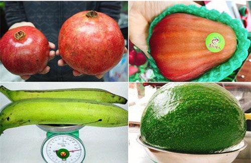 Tổng hợp các loại quả "siêu to khổng lồ" gây sốt thị trường Việt suốt thời gian qua