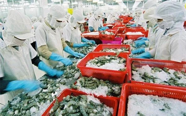 Trong số các FTA,EVFTA có tác động mạnh nhất đối với ngành tôm Việt.