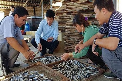 Trung Quốc liên tục thay đổi, hàng Việt ùn tắc trở tay không kịp