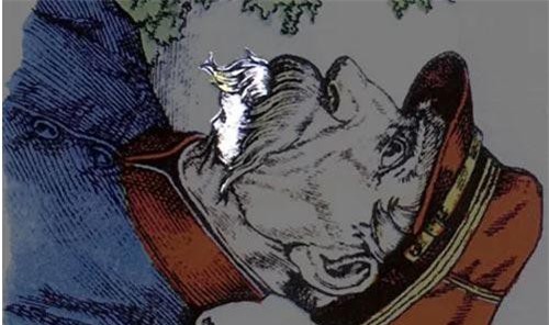 Cậu bé đang ẩn nấp ở đâu trong bức ảnh?