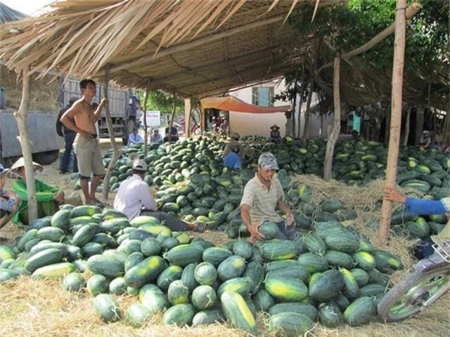 Trung Quốc liên tục thay đổi, hàng Việt ùn tắc trở tay không kịp