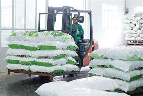 Hệ thống kho bãi với máy sấy hiện đại do Nhật Bản cung cấp của ThaiBinh Seed giúp nông sản được chế biến, bảo quản tốt nhất giữ được nhiều giá trị dinh dưỡng, tăng khả năng cạnh tranh.