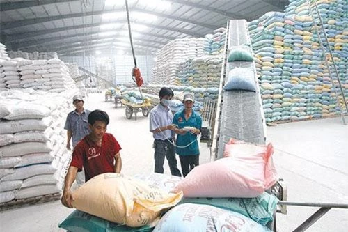 Xuất khẩu gạo sang Trung Quốc, Philippines tiếp tục khó thời gian tới