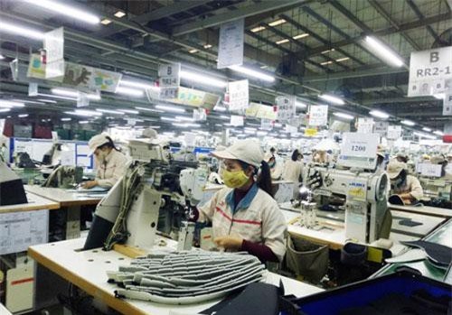 Khả năng tận dụng các ưu đãi từ CPTPP của Việt Nam còn thấp