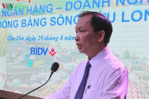 Ông Đào Minh Tú, Phó Thống đốc Ngân hàng Nhà nước.