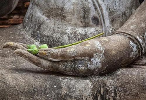 Kiếp trước bạn là người thế nào, vận mệnh kiếp này của bạn ra sao?