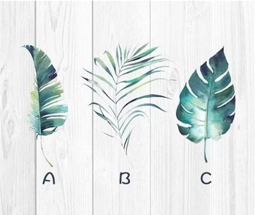 Trắc nghiệm: Phép màu nào sắp sửa đến với cuộc đời bạn?