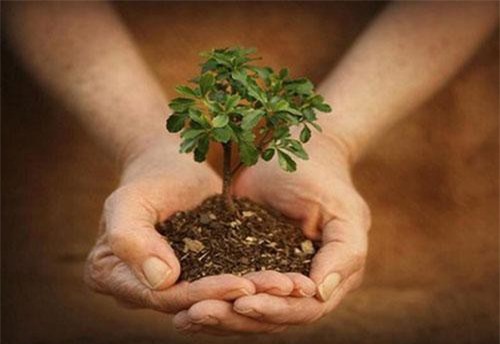 Có báu vật này thì cả đời bạn chẳng sợ điều gì, mọi tai ương đều qua hết