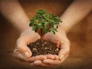 Có báu vật này thì cả đời bạn chẳng sợ điều gì, mọi tai ương đều qua hết