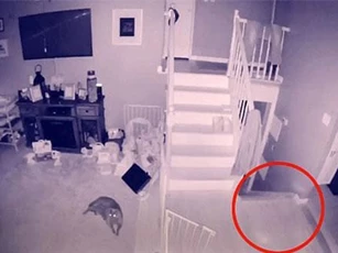 CLIP: ‘Điếng hồn’ phát hiện bóng ma cậu bé và thú cưng trong nhà lúc nửa đêm