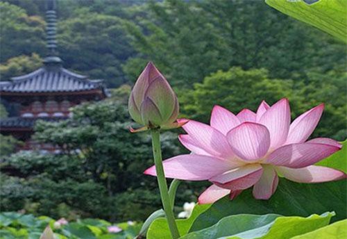 Phật dạy về 20 điều tu dưỡng lớn nhất cuộc đời mỗi con người