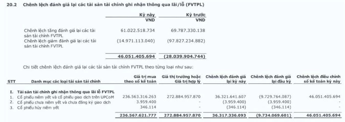 Nguồn: Báo cáo tài chính bán niên 2019