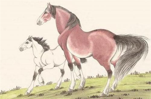 Tháng 8 âm lịch: 3 con giáp rinh hết tiền của thiên hạ về nhà, may mắn dồn dập, giàu sang sáng chói