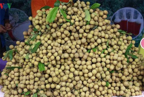 Sơn La kỳ vọng xuất khẩu đạt 150 triệu USD trong năm nay