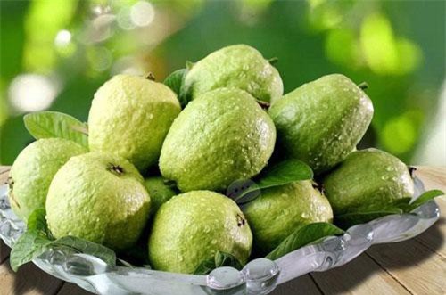 Khi ăn ổi phải nhớ kỹ điều này nếu không muốn rước họa vào người