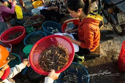 Đôi khi có những ngày kém may mắn họ chỉ đánh bắt được rất ít tôm, cá. Những ngư dân ở Vân Quật Đông vẫn gắn bó với ngề sau nhiều năm, Họ đánh bắt cá ven bờ và chỉ ra tới cửa biển