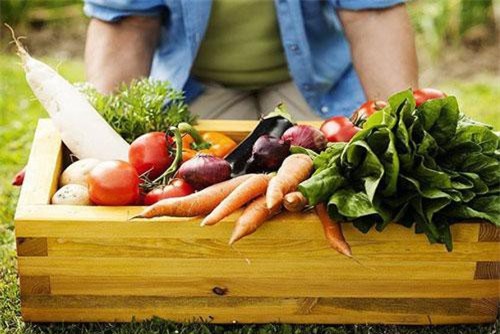 Việt Nam phấn đấu vào top 15 về nông nghiệp hữu cơ