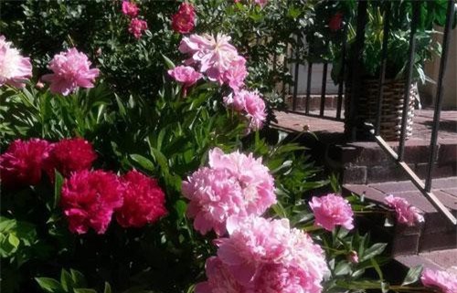 Sống chung nhà sau ly hôn, vợ sốc nặng chứng kiến hành động của chồng mỗi đêm