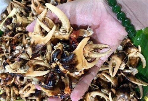 Thực hư giá càng cua đồng 500.000 đồng/kg đang hot rần rần, được nói là có tiền cũng khó mà mua được