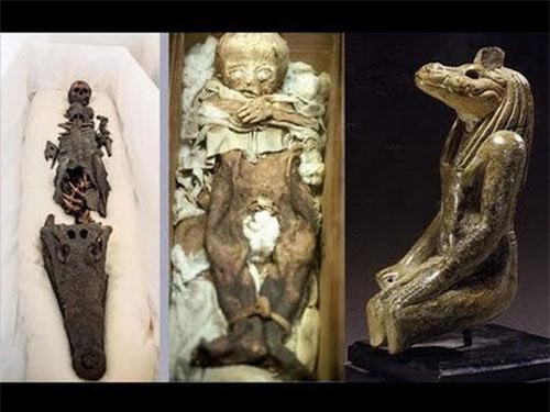 Tận mục xác ướp nửa người nửa cá sấu dị hình nhất thế giới