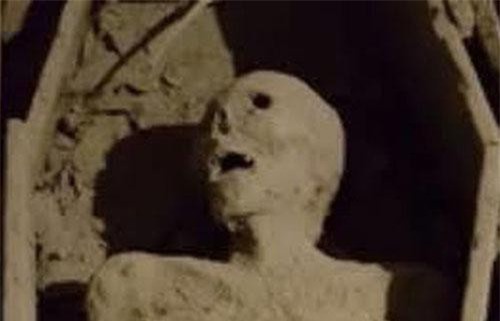 Sự thật kinh dị vụ xác ướp 800 tuổi bị lấy cắp mất đầu