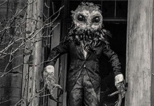 Bằng chứng rùng mình về sự tồn tại của người cú