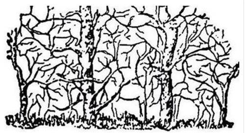 80% người không nhìn thấy 11 con vật trong bức ảnh này