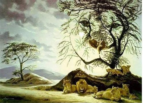 Nhiều người không đếm được số sư tử trong ảnh này, còn bạn?