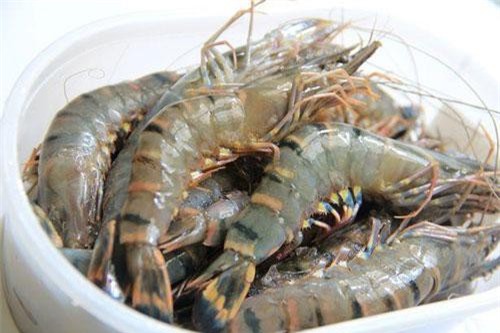 Dấu hiệu nào chứng tỏ bạn đã mua phải tôm chứa nhiều chất độc?