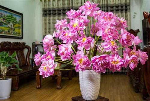 7 loại hoa bài trí trong phòng khách ắt trừ được tà, lại mang đến nhiều tài khí, may mắn cho gia chủ