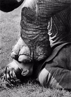 Những bức ảnh kỳ dị khiến người xem “dựng hết tóc gáy”