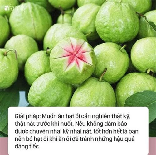 Người ta thích ăn ổi vào mùa thu không chỉ bởi thứ hương thơm vô cùng đặc trưng của ổi quyện lẫn sắc trời sang thu mà còn bởi giá trị dinh dưỡng mà nó đem lại.