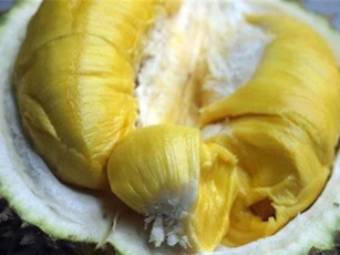 Dân buôn sầu riêng không bao giờ tiết lộ: "Điểm vàng" để chọn quả chín tự nhiên không hoá chất, mùi dày "ngập răng"