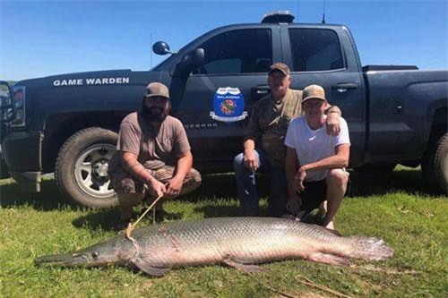 Mỹ: Bắt được loài cá “hóa thạch sống” xuất hiện từ thời khủng long