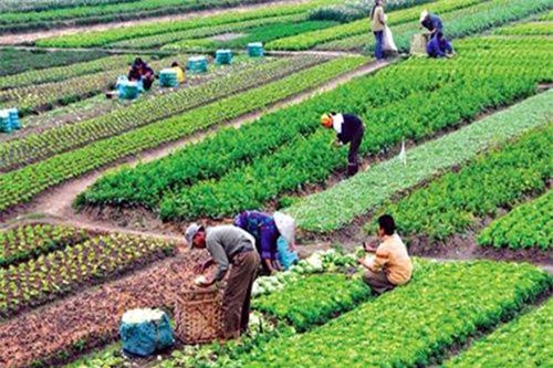 Tổ chức Diễn đàn Kinh tế hợp tác, hợp tác xã năm 2019