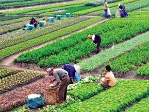 Tổ chức Diễn đàn Kinh tế hợp tác, hợp tác xã năm 2019