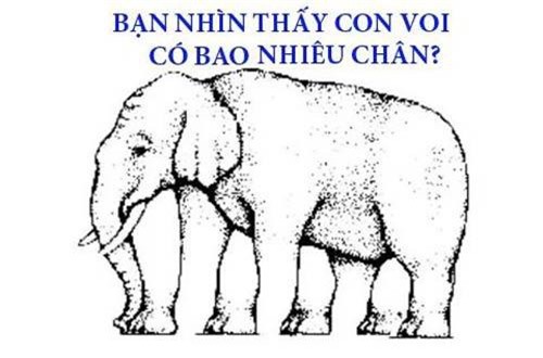 70% người không đếm được con voi có bao nhiêu chân, còn bạn?