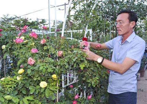 B&#xE0; R&#x1ECB;a-V&#x169;ng T&#xE0;u: T&#x1EEB; &#x111;am m&#xEA; hoa h&#x1ED3;ng &#x111;&#x1EBF;n &#xF4;ng ch&#x1EE7; v&#x1B0;&#x1EDD;n h&#x1ED3;ng b&#x1EA1;c t&#x1EF7;