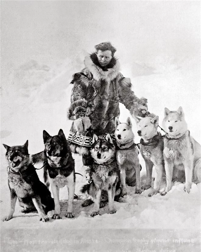 Câu chuyện có thật về 150 chú chó husky anh hùng từng cứu sống ngôi làng 10.000 người khỏi căn bệnh bạch hầu tử thần - Ảnh 2.