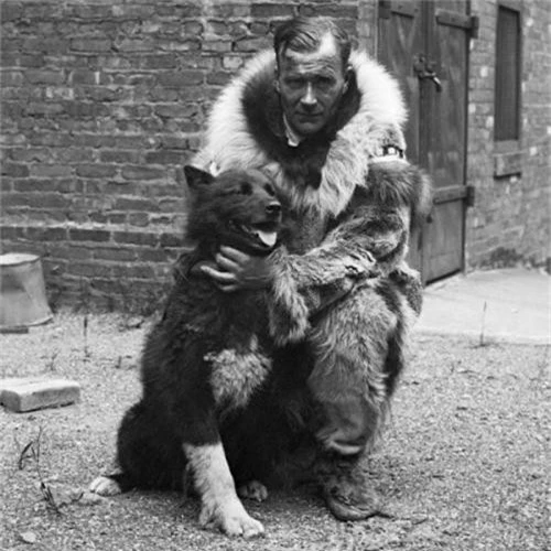 Câu chuyện có thật về 150 chú chó husky anh hùng từng cứu sống ngôi làng 10.000 người khỏi căn bệnh bạch hầu tử thần - Ảnh 4.