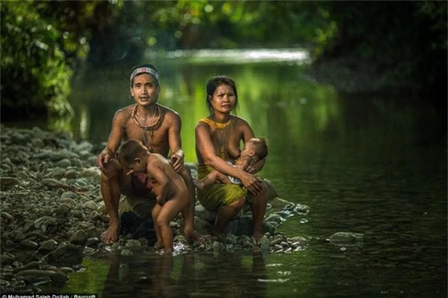 cuoc song cua bo lac nguyen thuy o indonesia hinh anh 5