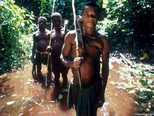 Cư trú tập trung tại trong những khu rừng rậm tại khu vực Trung Phi, người Pygmyđược ghi nhận là tộc người có kích thước nhỏ bé nhất thế giới. 