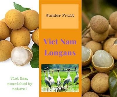 Xây dựng thương hiệu nhãn Việt Nam tại Úc cho doanh nghiệp XK tham gia